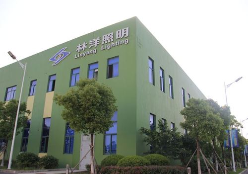 江苏林洋照明科技无限公司建立