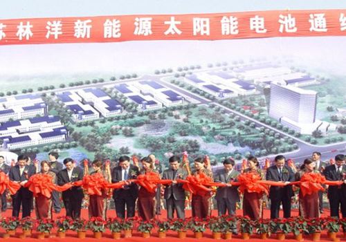 江苏林洋新动力无限公司建立，10月，第一条太阳能电池线投产运转