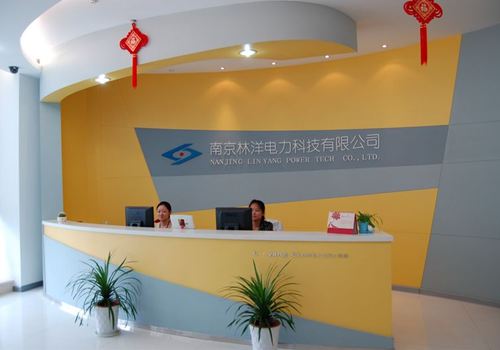 南京林洋电力科技无限公司建立